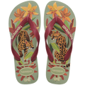 Chinelo Havaianas Ipê