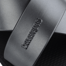 Rasteirinha Havaianas Aqua Metallic