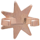 Pin Slim Havaianas Estrela Swarovski